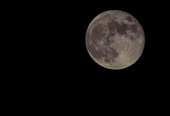 Full Moon Screensaver 