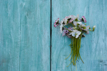 spring flowers on turquoise wooden surface