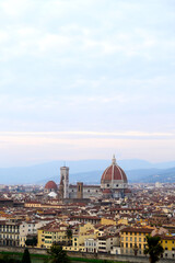 Fototapeta na wymiar A view of the city of Florence seen from the ''Piazzale Michelangelo''