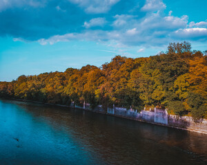 Fototapeta premium autumn in the park