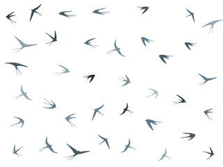 Flying martlet birds silhouettes vector illustration. Migratory martlets bevy isolated on white. 
