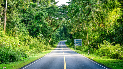 A long the road with  nature in national park .
