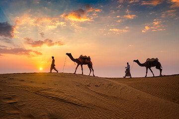 Indian cameleers (camel driver) bedouin with camel silhouettes in sand dunes of Thar desert on sunset. Caravan in Rajasthan travel tourism background safari adventure. Jaisalmer, Rajasthan, India