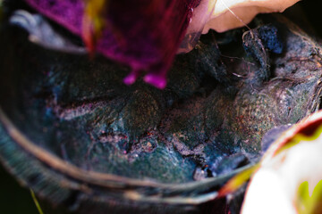 Florist composition.