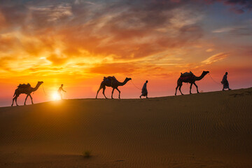 Indian cameleers (camel driver) bedouin with camel silhouettes in sand dunes of Thar desert on...