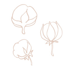 Cotton flowers and balls, rustic, elegant herb. Cotton flower for wedding invitation, greeting card, label, logo, icon. Symbol of natural eco organic. Outline. Vector hand drawn stock illustration.