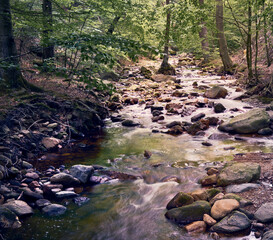 A stream with large stones flows through a deciduous forest in the Harz Mountains, Ilsebach