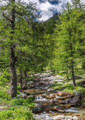 Paysage de montagne dans les Alpes dans le parc du Mercantour - Landscape alpin mountain