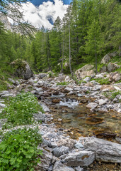 Paysage de montagne dans les Alpes dans le parc du Mercantour - Landscape alpin mountain
