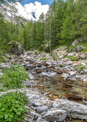Paysage de montagne dans les Alpes dans le parc du Mercantour - Landscape alpin mountain