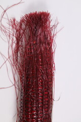 Close up Siam Ruby Queen Corn with corn silk on white background