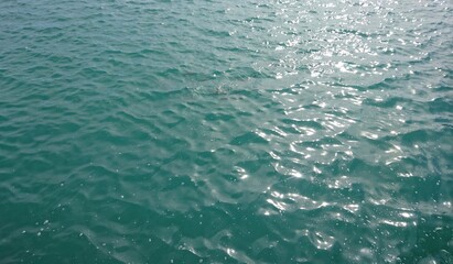 blue water wave with swimming fish