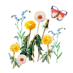 Watercolor dandelions with butterfly on white background. Floral illustration for fabric.