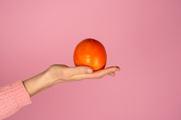 Large ripe persimmon fruit on a female palm.