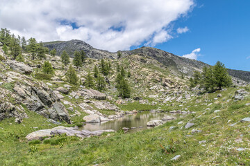 Fototapeta na wymiar Paysage alpin dans le parc du Mercantour - Alpine landscape in the Mercantour park in the South of France