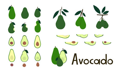 Fruit. Avocado whole and cut. Avocado pit. Avocado half and slices. Avocado tree branches with leaves. Set of vector objects in green colors isolated on white. Positive flat design. Cartoon style