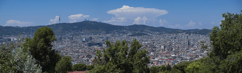 Fototapeta na wymiar Vista panorámica de la ciudad de Barcelona vista desde Montjuic