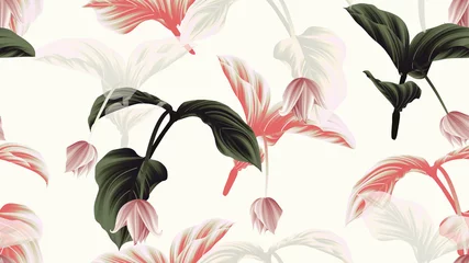 Poster Seamless pattern, Medinilla magnifica flowers with leaves on light grey background, green, red and white tones © momosama