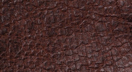 Brown leather texture closeup, macro. Background, top view.
