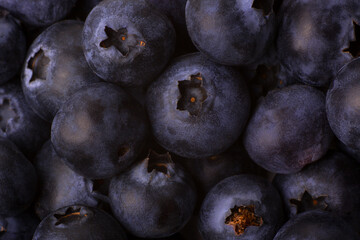 Blueberry berries as background texture close-up