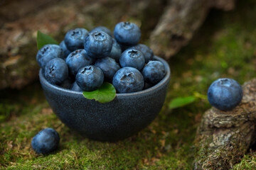 Blueberry berries in a bowl on a natural forest background. From the texture of wood and moss