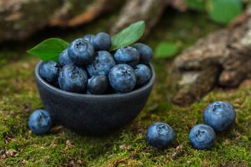 Blueberry berries in a bowl on a natural forest background. From the texture of wood and moss