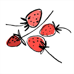 Strawberries. Hand drawn vector illustration for teaching aid, price tag, fruit stores, restaurants and farm markets promotion. Isolated design element