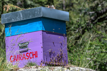 Ruche et abeilles - Beehive and bees