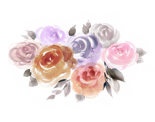 Beautiful pink tea roses. Watercolor botanical classic illustration on white background. - 361515939
