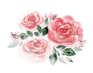Three pink roses. Watercolor botanical classic illustration on white background. - 361515979