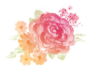 Watercolor pink rose in pastel colors. - 361515996