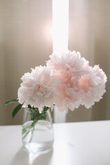 Beautiful pink peonies in a vase at home interior. Flower composition. Floral shop concept. Beautiful fresh cut bouquet. copyspace