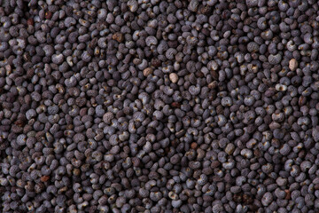 Poppy seeds as a background texture. Macro