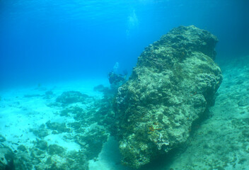 scuba diver caribbean sea Curacao Island