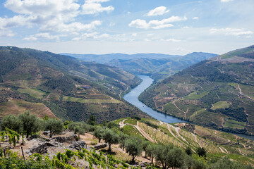 Fototapeta na wymiar Douro Valley landscape
