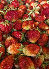 lots of ripe red strawberries on the table as a background