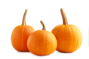 Fresh orange pumpkins isolated on white background