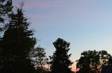 Obraz premium Colorful sunset amongst silhouetted trees