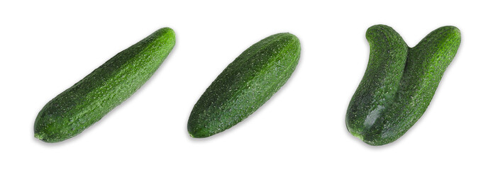Fancy ugly vegetables. Two fresh cucumbers merged together. Close-up, top view, copy space. Malnutrition