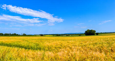 Nidderau im hessischen Main-Kinzig-Kreis