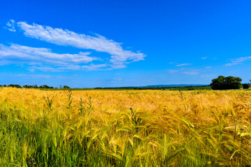 Nidderau im hessischen Main-Kinzig-Kreis