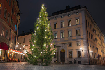 Fototapeta na wymiar An evergreen tree, lighted for the Christmas holiday at a square on the compact island of Gamla Stan, Stockholm, Sweden's old town, with cobbled streets and colorful 17th- and 18th-century buildings. 