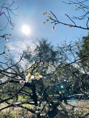 Processed with VSCO with g3 preset