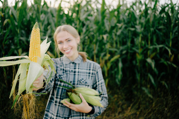 Beuatiful positive blonde girl in corn field with maze in hands Beautiful farm rural girl shows corn maize in her hand on blurred background, Sweet white smile