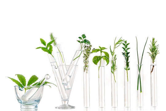 Test Tubes and glass mortarwith small plants Isolated on white, herbal medicine or Genetically Modified Organisms