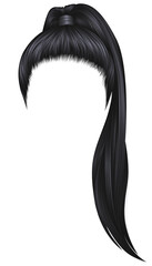 trendy women hairs brunette black colour .high 
ponytail . fashion beauty style . - obrazy, fototapety, plakaty