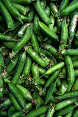 disease on the pods of green peas collected from the field