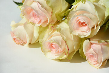 beautiful delicate bouquet of flowers. wedding decoration. roses are pale pink.