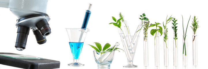 Panoramic image -Laboratory glassware with different plants and microscope on table against white background, space for text. Chemistry research