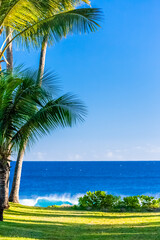 Fototapeta na wymiar tropical beach with palm trees, Grand’Anse, Reunion island 